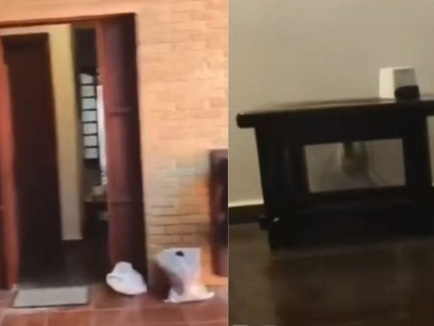 César Tralli detalha, ao vivo, prisão de Hytalo Santos em operação da Polícia Civil