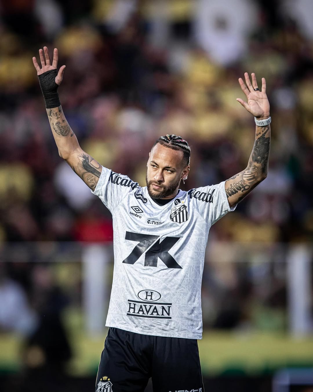 Foto: Raul Baretta/Santos FC